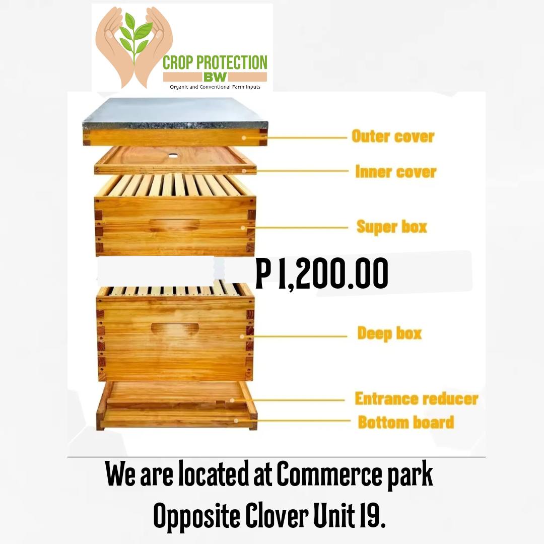 Bee Hive Box