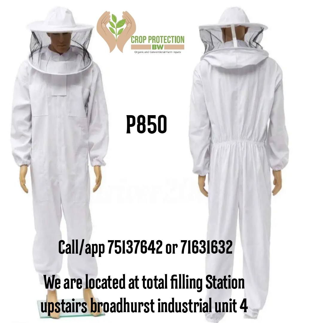 Bee Suit